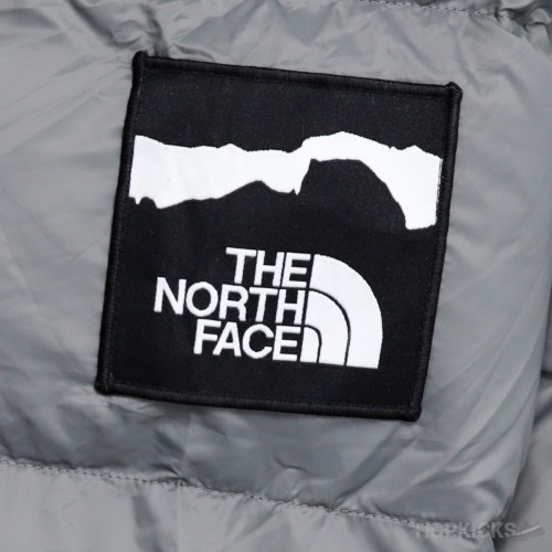 The North Face x Invincible 1996 Retro Nuptse (High-end Batch)