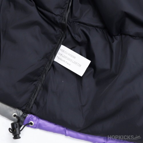 The North Face x Invincible 1996 Retro Nuptse (High-end Batch)