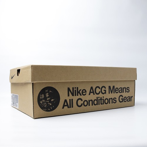 Nike ACG Mountain Fly 2 Low Light Iron Ore (Premium Plus Batch)