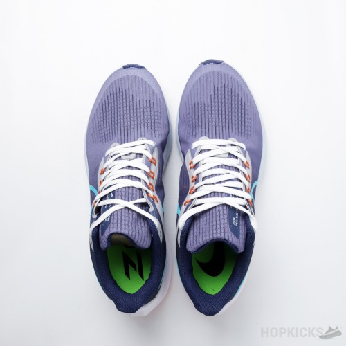 Air Zoom Pegasus 39 Gradient Blue (Premium Plus Batch)