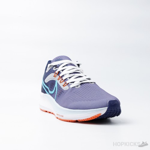 Air Zoom Pegasus 39 Gradient Blue (Premium Plus Batch)