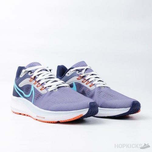 Air Zoom Pegasus 39 Gradient Blue (Premium Plus Batch)