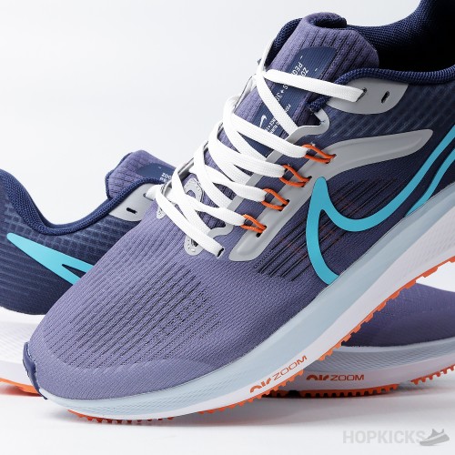 Air Zoom Pegasus 39 Gradient Blue (Premium Plus Batch)