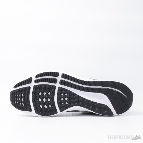 Air Zoom Pegasus 38 Black White (Premium Plus Batch)