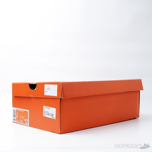 Air Zoom Pegasus 39 Pure Platinum Total Orange (Premium Plus Batch)