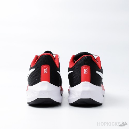 Air Zoom Pegasus 38 Black Red White (Premium Plus Batch)