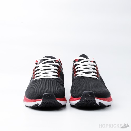 Air Zoom Pegasus 38 Black Red White (Premium Plus Batch)