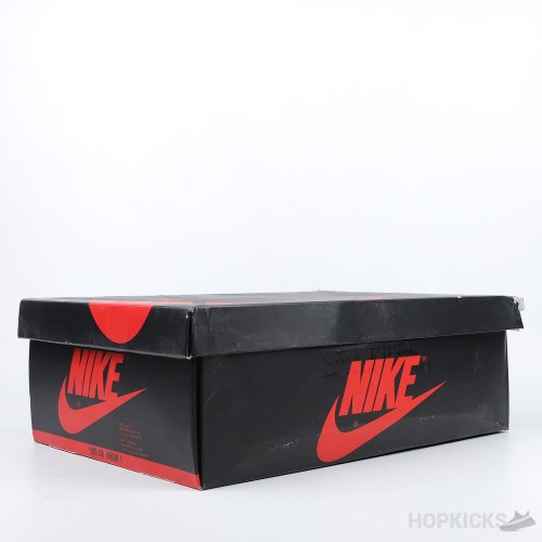 Air Jordan 1 High White Platinum (Premium Batch) (Yellow Spots)