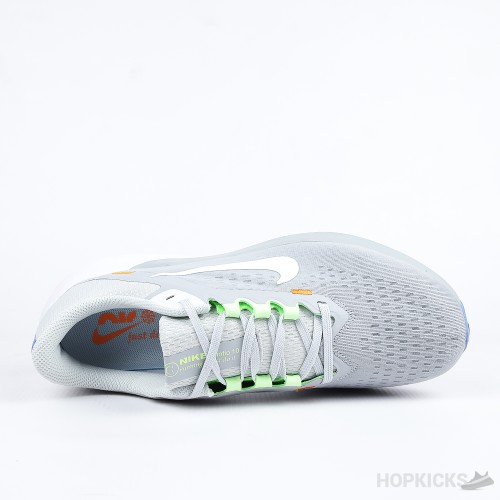 Nike Winflo 10 (Premium Plus Batch)