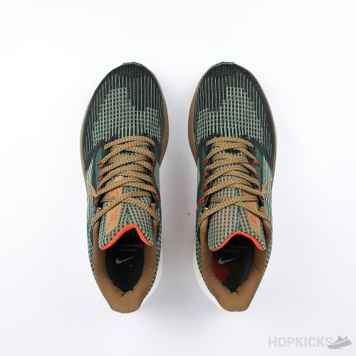 Nike Air Zoom Pegasus 39 A.I.R. Hola Lou (Premium Plus Batch)