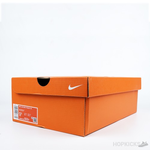 Nike Air Zoom Pegasus 39 A.I.R. Hola Lou (Premium Plus Batch)