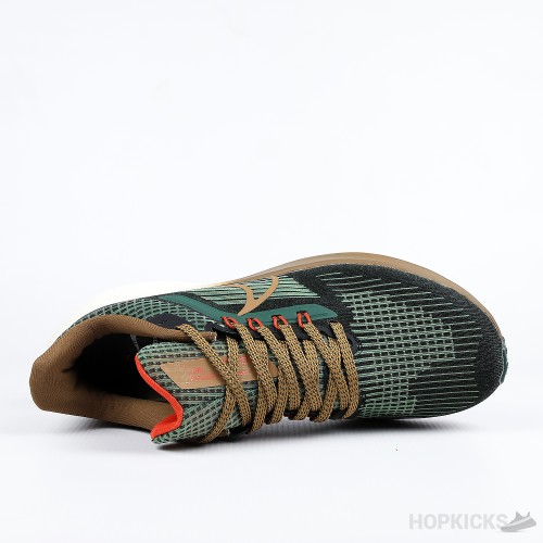 Nike Air Zoom Pegasus 39 A.I.R. Hola Lou (Premium Plus Batch)