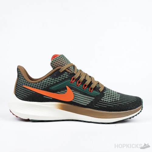 Nike Air Zoom Pegasus 39 A.I.R. Hola Lou (Premium Plus Batch)