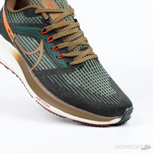 Nike Air Zoom Pegasus 39 A.I.R. Hola Lou (Premium Plus Batch)