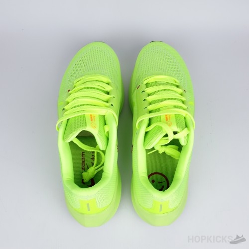 Nike Air Zoom Pegasus 40 Grinch (Premium Batch)