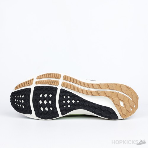 Nike Air Zoom Pegasus 40 Black Jade Ice Citron Tint (Premium Batch)