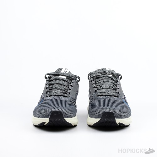 Nike Air Zoom Pegasus 40 Smoke Grey (Premium Batch)