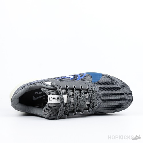 Nike Air Zoom Pegasus 40 Smoke Grey (Premium Batch)
