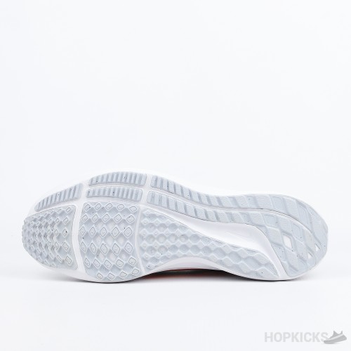 Nike Pegasus 40 Premium White Multi-Color (Premium Plus Batch)