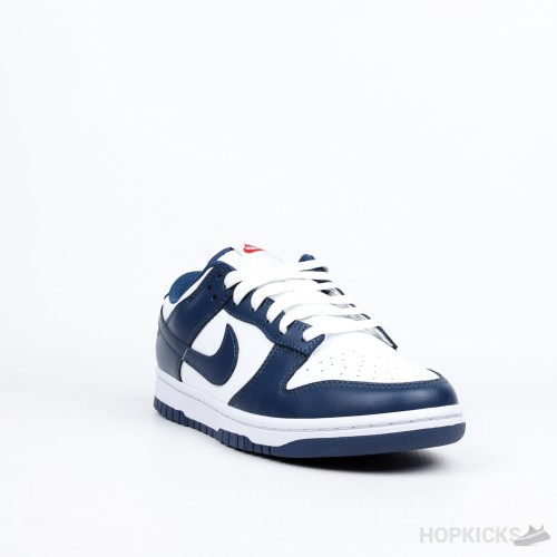 Nike Dunk Low Retro Valerian Blue (Premium Batch)
