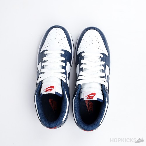 Nike Dunk Low Retro Valerian Blue (Premium Batch)