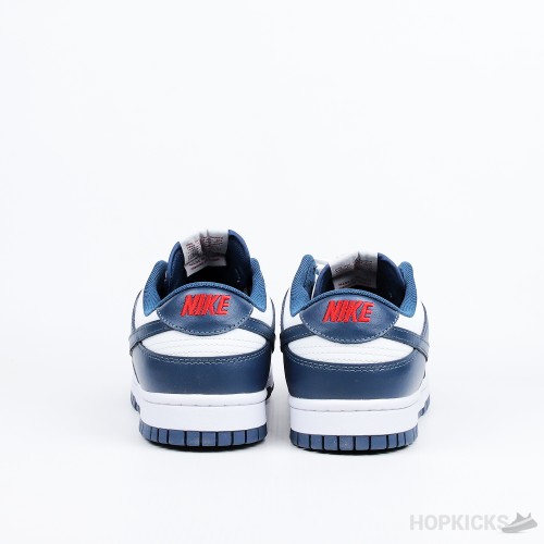 Nike Dunk Low Retro Valerian Blue (Premium Batch)