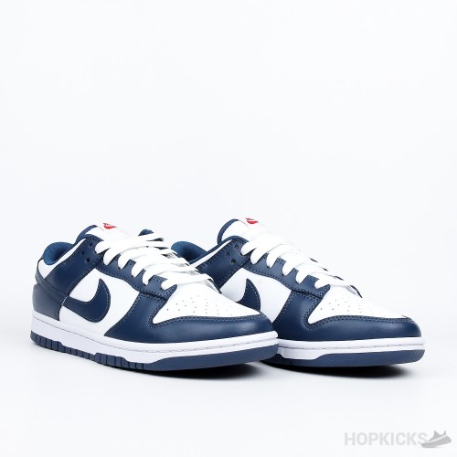 Nike Dunk Low Retro Valerian Blue (Premium Batch)