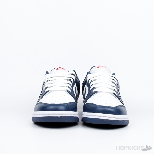 Nike Dunk Low Retro Valerian Blue (Premium Batch)