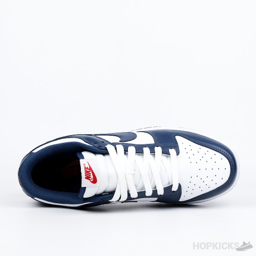 Nike Dunk Low Retro Valerian Blue (Premium Batch)