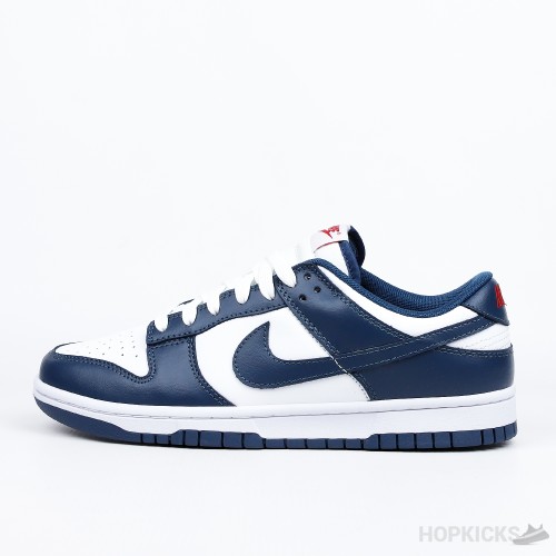 Nike Dunk Low Retro Valerian Blue (Premium Batch)