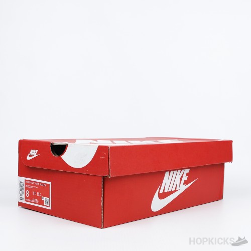 Nike Court Vision Alta LTR Low (Premium Batch)