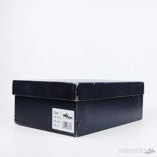 Dior B30 White Beige Blue Camel (Premium Plus Batch)