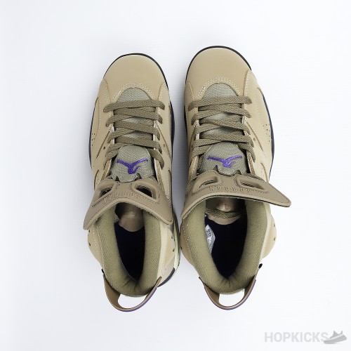 Air Jordan 6 Retro Gore-Tex Brown Kelp (Dot Perfect Batch)