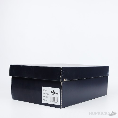 Dior B30 Gray (Premium Plus Batch)