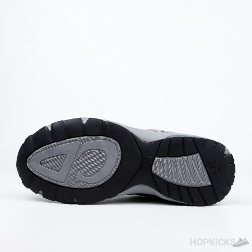 Dior B30 Gray (Premium Plus Batch)