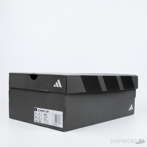 Adidas Ultra Boost Light x Parley White Black (Premium Batch)