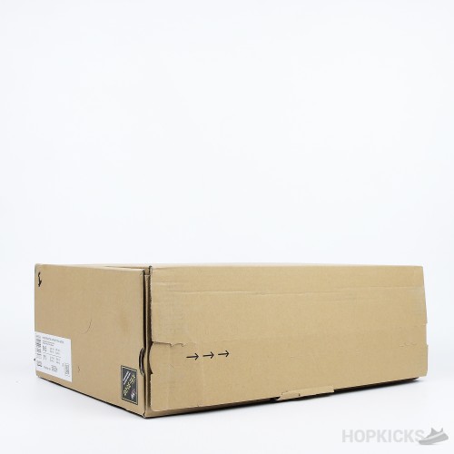 Nike Infinity RN 4 Gore-Tex (Premium Plus Batch)