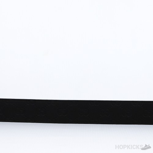GG 2 Belt