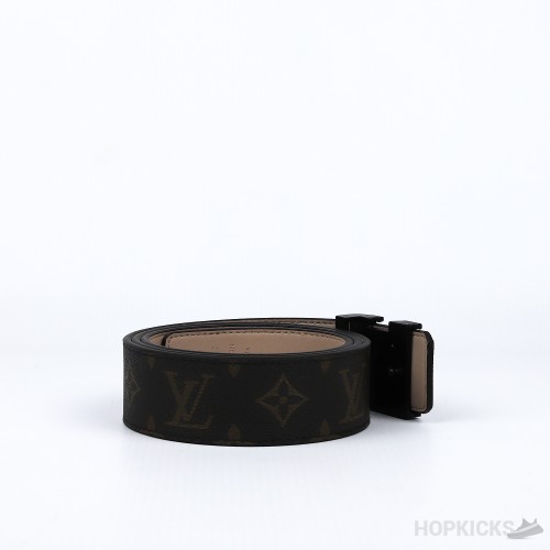 LV Silver Buckle Brown Pattern Belt
