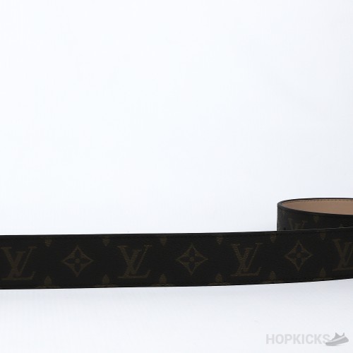 LV Silver Buckle Brown Pattern Belt