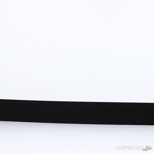 GG 1 Belt