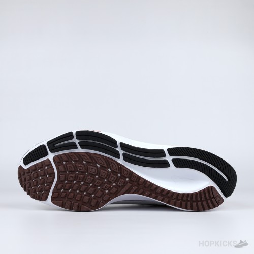 Nike Aioom Pegasus 38 Sail Gym Red Black [Without box]