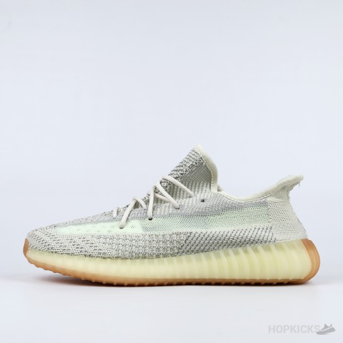 Adidas Yeezy 350 [Without box]