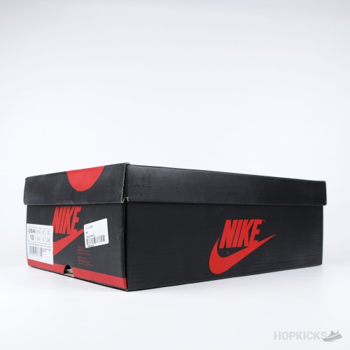 Air Jordan 1 x Dior Retro High