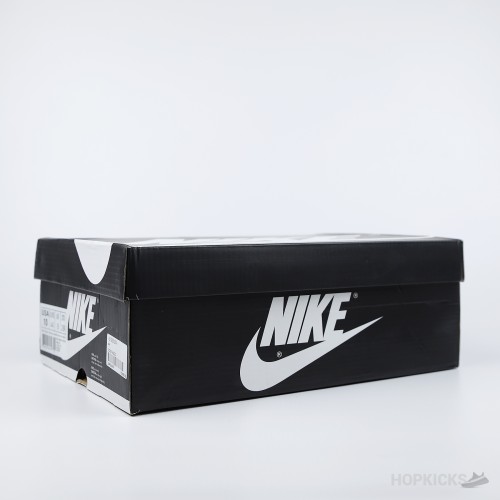 Air Jordan 1 Retro High OG Black White