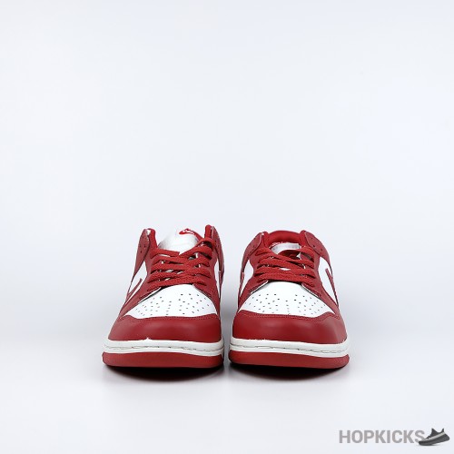 Nike Dunk Low St. Johns
