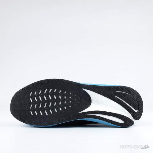 Reebok Floatride Dash Blue (Premium Batch)