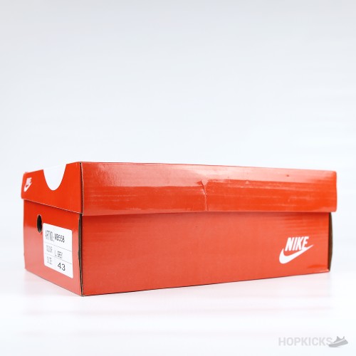 Air Zoom Pegasus 41 Volt Grey And Black