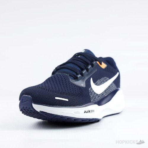 Air Pegasus 41 Volt Blue & White