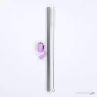 Stainless Steel Straws Set